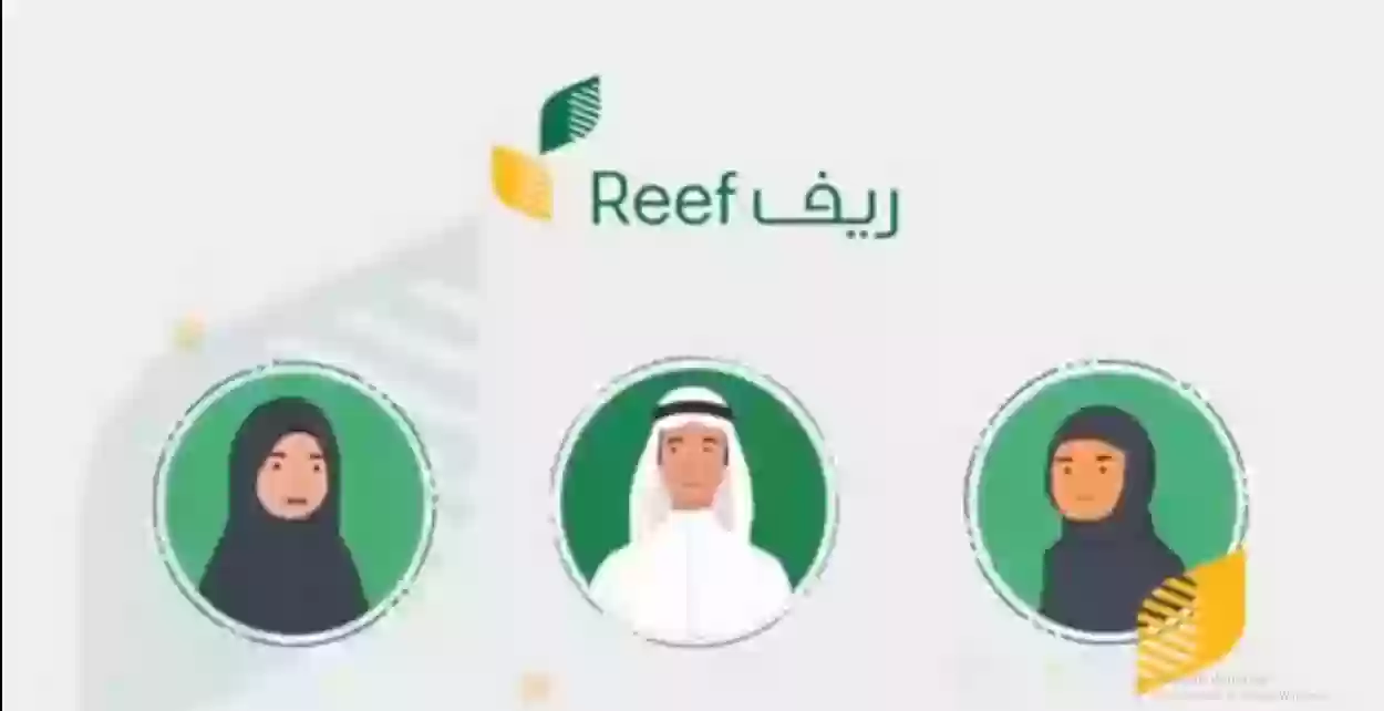 متي ينزل دعم ريف لشهر نوفمبر 2024؟ وماهي الشروط المطلوبة لاستحقاق صرف الدعم .. ريف السعودية يُجيب 2 متي ينزل دعم ريف لشهر نوفمبر 2024؟ وماهي الشروط المطلوبة لاستحقاق صرف الدعم .. ريف السعودية يُجيب