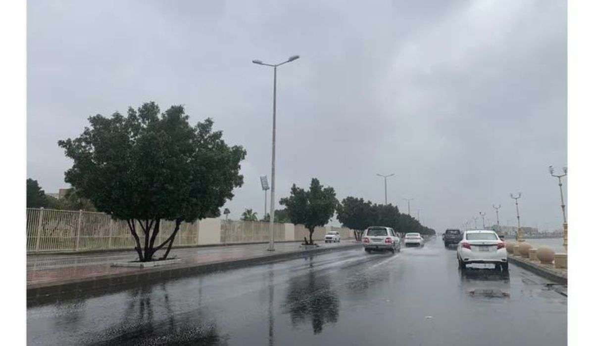 حالة الطقس اليوم السبت على مدن المملكة العربية السعودية 2 نوفمبر 2024 2 حالة الطقس اليوم السبت على مدن المملكة العربية السعودية 2 نوفمبر 2024