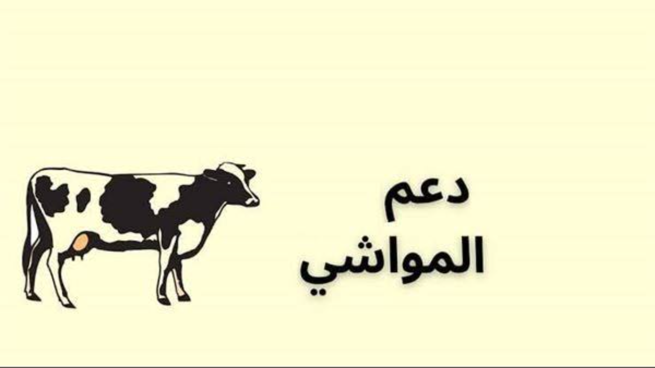 "بدأ العد التنازلي" خطوات الاستعلام عن دعم المواشي 1446 عبر وزارة البيئة والمياه وموعد الحصول عليه 2 “بدأ العد التنازلي” خطوات الاستعلام عن دعم المواشي 1446 عبر وزارة البيئة والمياه وموعد الحصول عليه