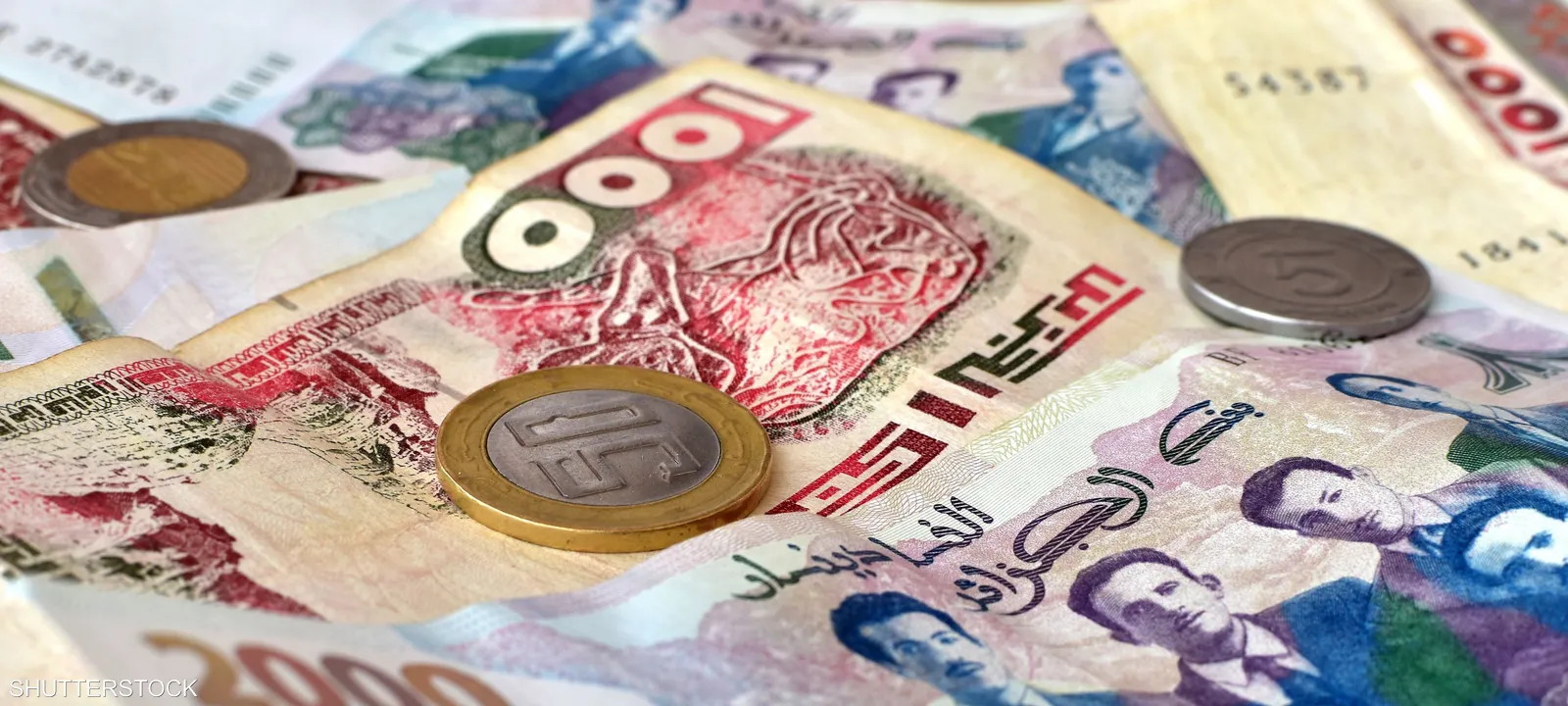 تباين في سعر الاورو اليوم الجزائر الجمعة 20 ديسمبر 2024 في السوق الرسمي والسكوار 2 تباين في سعر الاورو اليوم الجزائر الجمعة 20 ديسمبر 2024 في السوق الرسمي والسكوار
