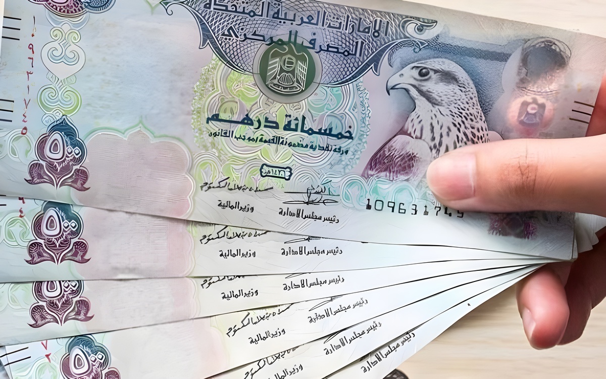 في البنك المركزي ب 13.59 جنيه ... سعر الدرهم الإماراتي الآن بختام تعاملات اليوم الجمعة 6 ديسمبر 2024 2 في البنك المركزي ب 13.59 جنيه … سعر الدرهم الإماراتي الآن بختام تعاملات اليوم الجمعة 6 ديسمبر 2024