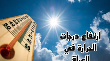 Picsart 24 12 02 09 01 10 756