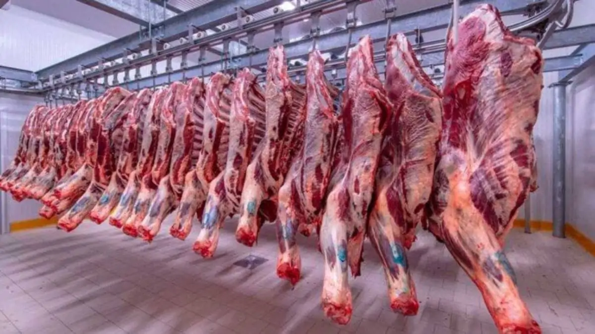 أسعار اللحوم للمستهلكين في مصر اليوم تبدأ من 290 جنيهًا وفق أحدث تقارير السوق Meat Prices in Egypt 2 أسعار اللحوم للمستهلكين في مصر اليوم تبدأ من 290 جنيهًا وفق أحدث تقارير السوق Meat Prices in Egypt