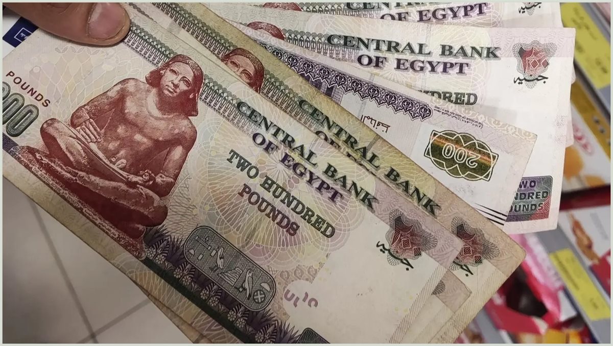 أعلى شهادات ادخار بالبنوك المصرية بعد قرار البنك المركزي الأخير تقدم عائد شهري يصل إلى 13 ألف جنيه 2 أعلى شهادات ادخار بالبنوك المصرية بعد قرار البنك المركزي الأخير تقدم عائد شهري يصل إلى 13 ألف جنيه