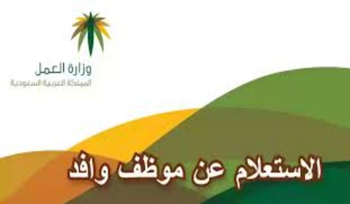 كيفية الاستعلام عن موظف وافد في المملكة العربية السعودية بطريقة سهلة ومبسطة عبر منصات حكومية 2 كيفية الاستعلام عن موظف وافد في المملكة العربية السعودية بطريقة سهلة ومبسطة عبر منصات حكومية