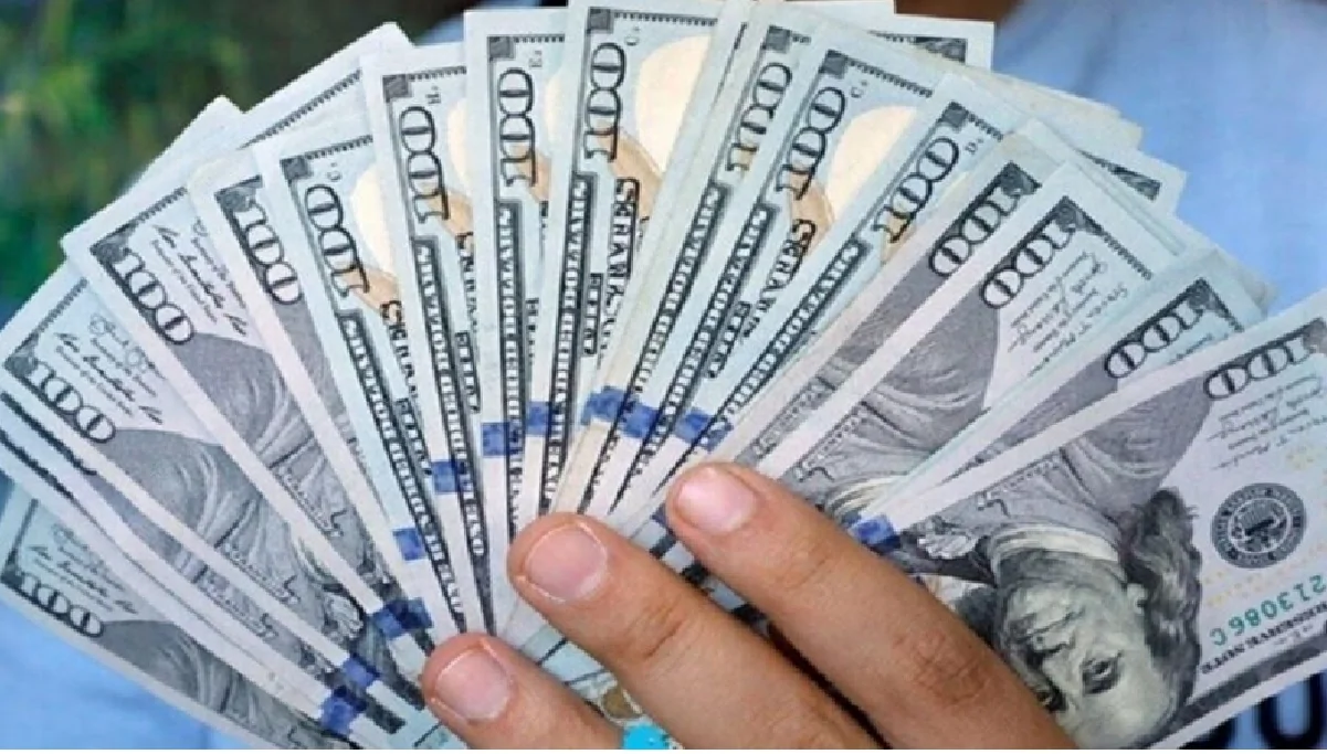 سعر صرف الدولار اليوم فى بغداد الجمعة 6 ديسمبر 2024 في عمليات البيع والشراء بالبورصة والسوق 2 سعر صرف الدولار اليوم فى بغداد الجمعة 6 ديسمبر 2024 في عمليات البيع والشراء بالبورصة والسوق