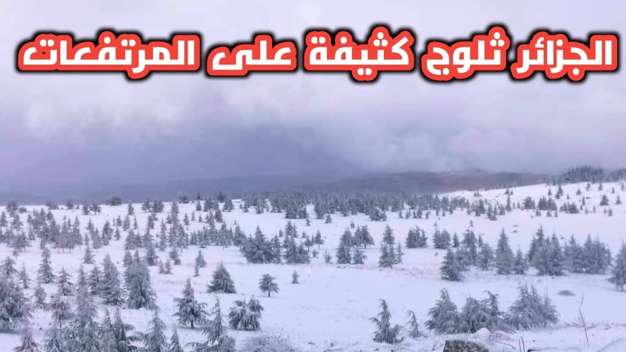 ثلوج الجزائر.. الديوان الوطني للأرصاد يحذر من ثلوج ورياح وأمطار وسط وشرق البلاد 2 ثلوج الجزائر.. الديوان الوطني للأرصاد يحذر من ثلوج ورياح وأمطار وسط وشرق البلاد