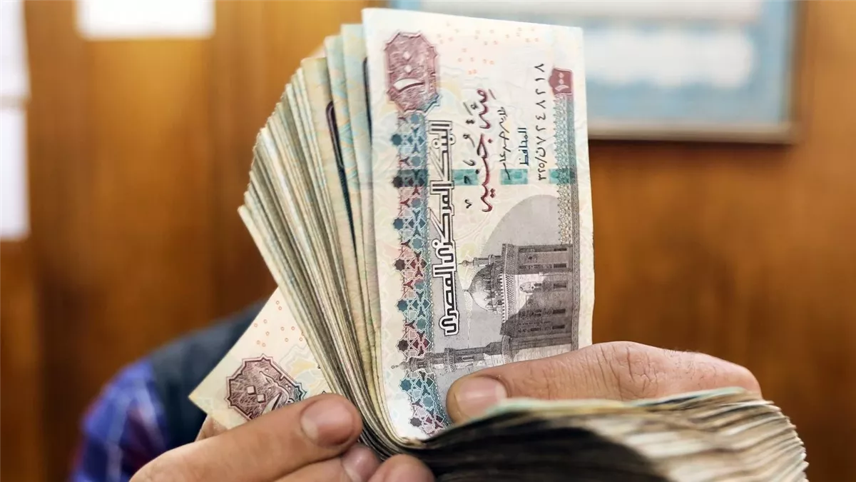 الزيادة المرتقبة في معاشات شهر يناير لعام 2025 مع موعد صرفها وكافة التفاصيل الخاصة بالمستفيدين 2 الزيادة المرتقبة في معاشات شهر يناير لعام 2025 مع موعد صرفها وكافة التفاصيل الخاصة بالمستفيدين