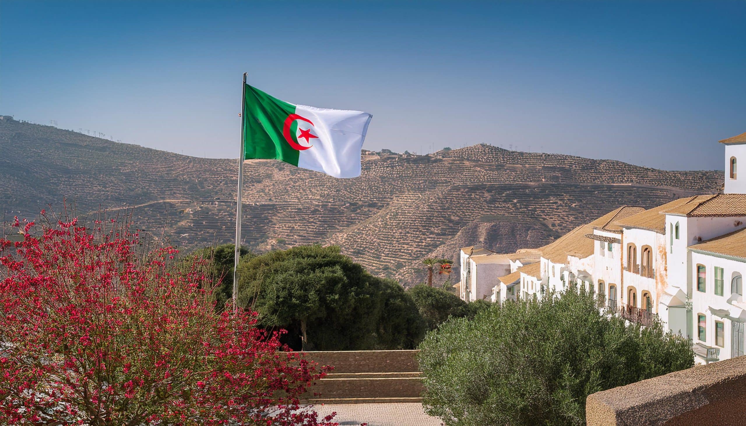 خطوات تجديد منحة البطالة في الجزائر بسهولة عبر موقع الوكالة الوطنية والشروط المطلوبة للاستفادة من الدعم 2 خطوات تجديد منحة البطالة في الجزائر بسهولة عبر موقع الوكالة الوطنية والشروط المطلوبة للاستفادة من الدعم
