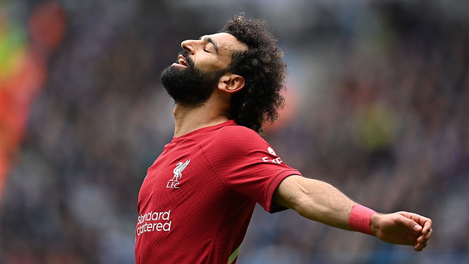 رئيس نادي بشكتاش يعلن رغبته الكبيرة في ضم النجم المصري محمد صلاح إلى صفوف فريقه 2 رئيس نادي بشكتاش يعلن رغبته الكبيرة في ضم النجم المصري محمد صلاح إلى صفوف فريقه