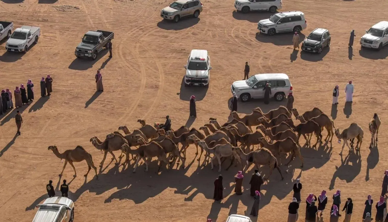 "الحق سجل" رابط التصويت منقية الجزيرة سمارات عبر عبر منصة راعي النظر وكيفية المشاركة في المسابقة 2 “الحق سجل” رابط التصويت منقية الجزيرة سمارات عبر عبر منصة راعي النظر وكيفية المشاركة في المسابقة