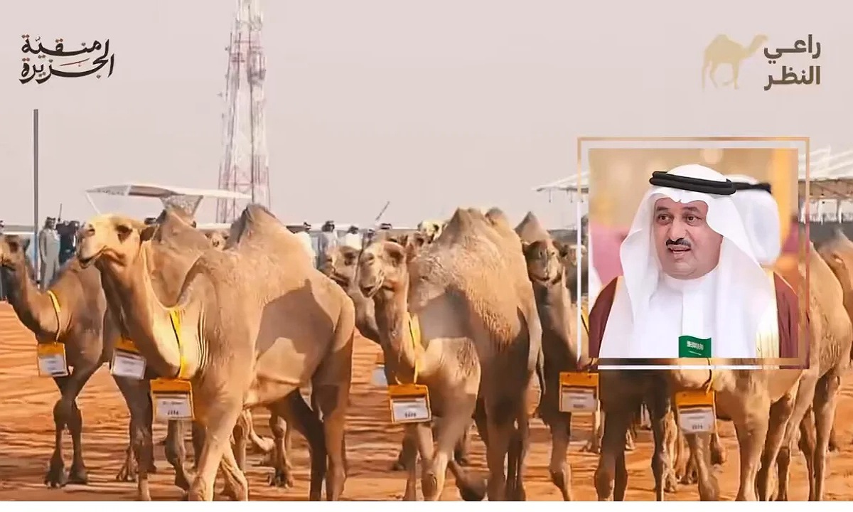 رابط تصويت الصياهد في مسابقة منقية الجزيرة 2024 عبر منصة راعي النظر لاختيار الفائز بالجائزة 2 رابط تصويت الصياهد في مسابقة منقية الجزيرة 2024 عبر منصة راعي النظر لاختيار الفائز بالجائزة