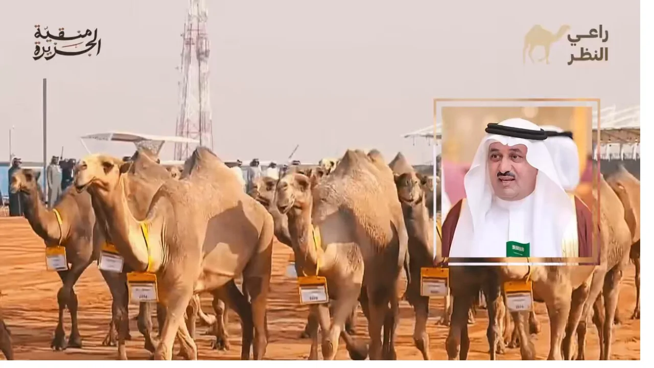 الموقع الرسمي لمنصة راعي النظر رابط التصويت الصياهد مسابقة منقية الجزيرة العربية 1446-2025 2 الموقع الرسمي لمنصة راعي النظر رابط التصويت الصياهد مسابقة منقية الجزيرة العربية 1446-2025