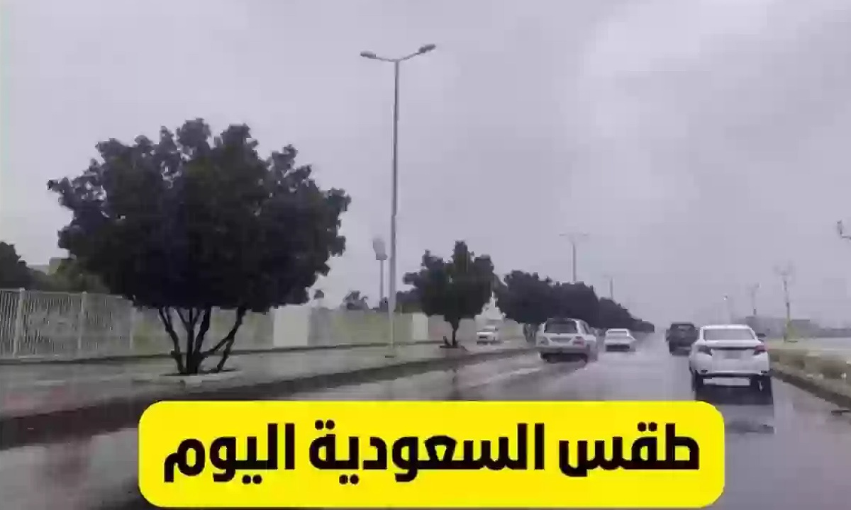 ثلوج وأمطار.. توقعات حالة طقس السعودية اليوم الخميس 19 ديسمبر 2024 على جميع المناطق مع استمرار الموجة الباردة 2 ثلوج وأمطار.. توقعات حالة طقس السعودية اليوم الخميس 19 ديسمبر 2024 على جميع المناطق مع استمرار الموجة الباردة