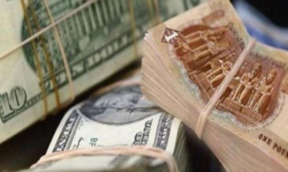 انخفاض سعر الدولار الأمريكي مقابل الجنيه المصري اليوم 2 ديسمبر 2024 في البنوك المصرية والسوق السوداء 2 انخفاض سعر الدولار الأمريكي مقابل الجنيه المصري اليوم 2 ديسمبر 2024 في البنوك المصرية والسوق السوداء
