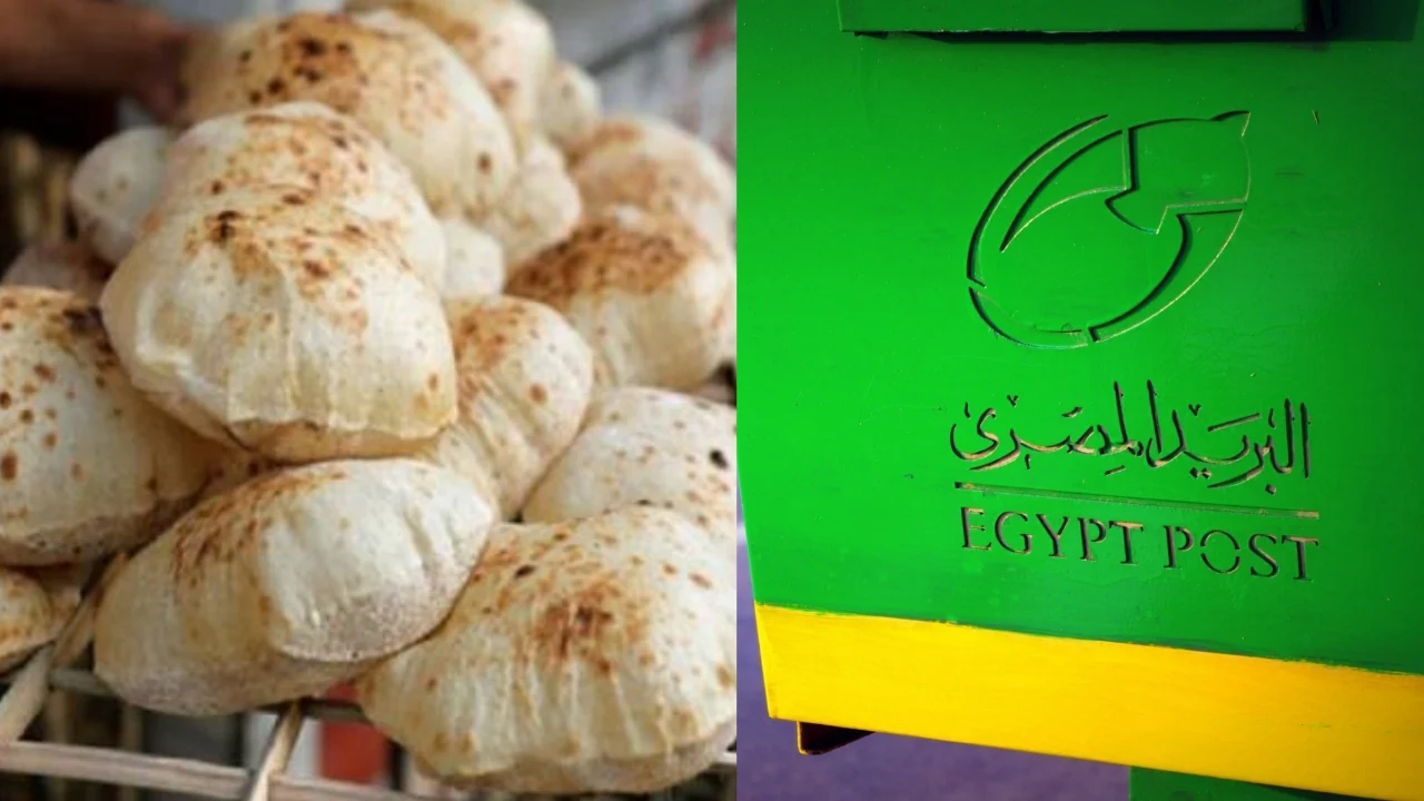 مبادرة جديدة لغير حاملي بطاقات التموين.. خفض سعر كيلو السكر الحر في المجمعات الاستهلاكية Consumer Complexes 2 مبادرة جديدة لغير حاملي بطاقات التموين.. خفض سعر كيلو السكر الحر في المجمعات الاستهلاكية Consumer Complexes