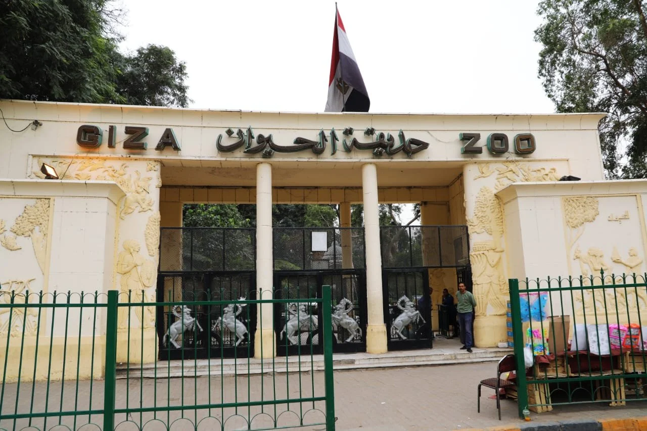 متى ستفتح حديقة الحيوان بالجيزة أبوابها للجمهور؟.. تقرير مفصل عن الوضع الحالي وتكاليف المشروع المنتظر 2 متى ستفتح حديقة الحيوان بالجيزة أبوابها للجمهور؟.. تقرير مفصل عن الوضع الحالي وتكاليف المشروع المنتظر