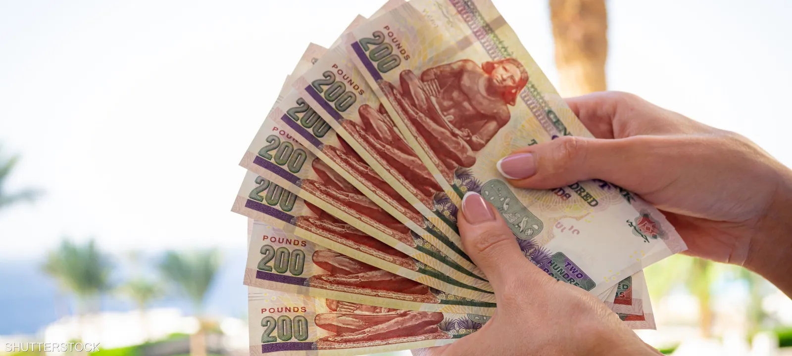 تعرف على مكاسبك إذا اشتريت شهادة الادخار البنكية بفائدة 30% لمدة ثلاث سنوات 2 تعرف على مكاسبك إذا اشتريت شهادة الادخار البنكية بفائدة 30% لمدة ثلاث سنوات