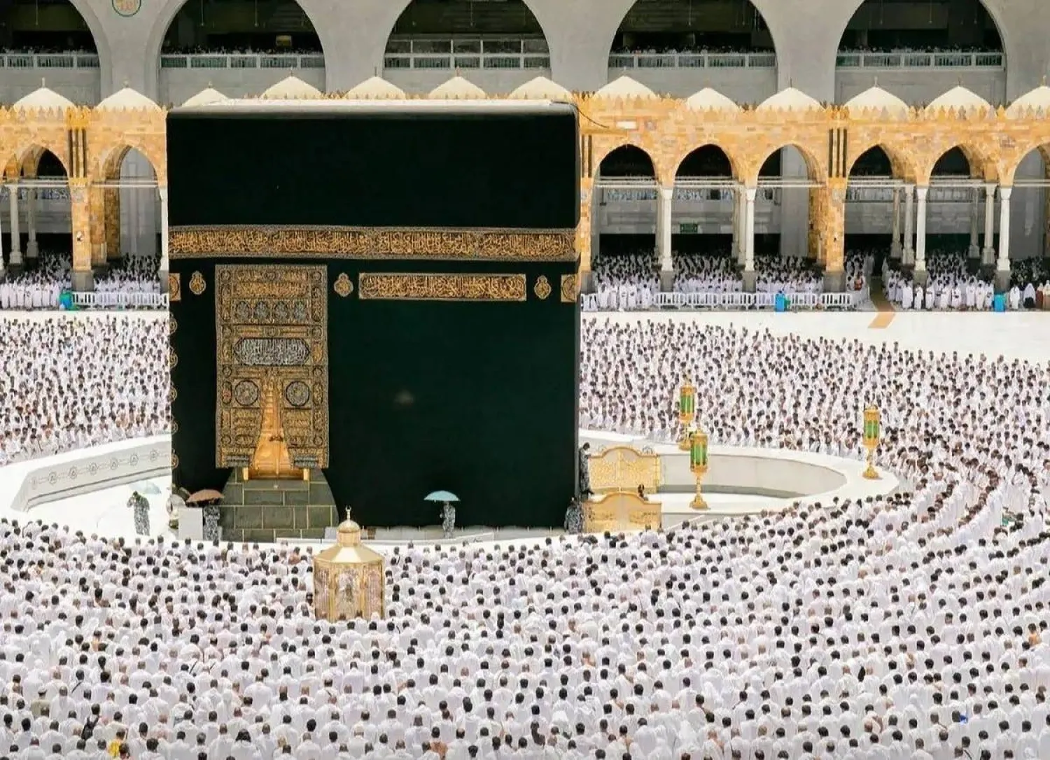 وزارة التضامن الاجتماعي تفتح باب التقديم للإشراف على رحلات حج الجمعيات الأهلية ابتداءً من الأحد المقبل 2 وزارة التضامن الاجتماعي تفتح باب التقديم للإشراف على رحلات حج الجمعيات الأهلية ابتداءً من الأحد المقبل