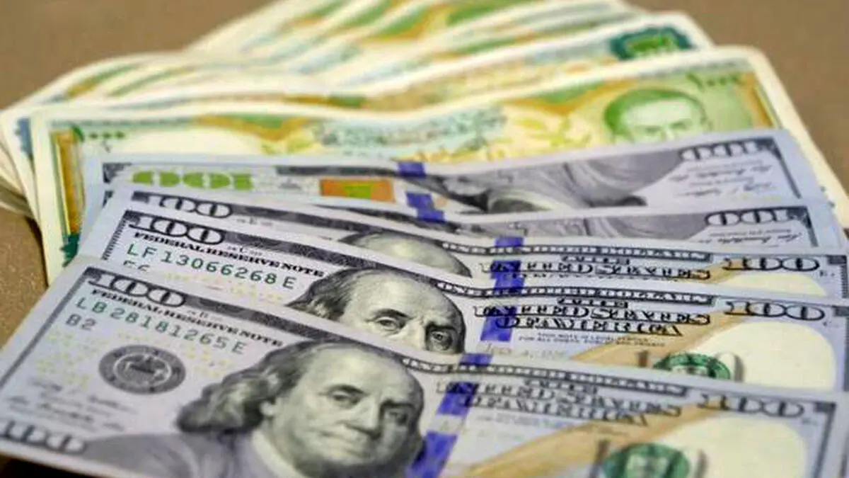 تماسك الأخضر.. 100 دولار كم ليرة سورية اليوم بيع وشراء في مدن سوريا عند بدء التداولات 2 تماسك الأخضر.. 100 دولار كم ليرة سورية اليوم بيع وشراء في مدن سوريا عند بدء التداولات