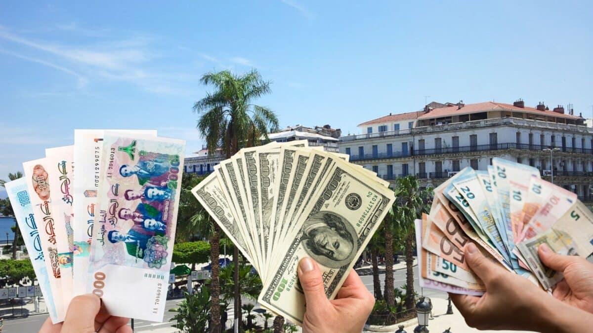 الأورو يشتعل.. سعر اليورو مقابل الدينار الجزائري في السوق السوداء السكوار في البيع والشراء اليوم 14 فيفري 2 الأورو يشتعل.. سعر اليورو مقابل الدينار الجزائري في السوق السوداء السكوار في البيع والشراء اليوم 14 فيفري