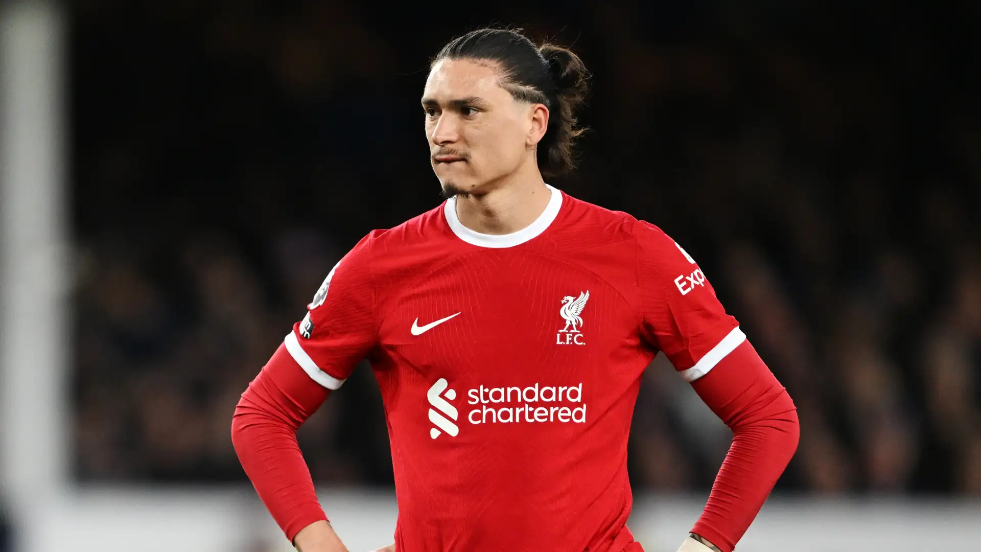 الأوروغواني داروين نونيز لاعب ليفربول يقترب من الأهلي في الصيف 2 الأوروغواني داروين نونيز لاعب ليفربول يقترب من الأهلي في الصيف