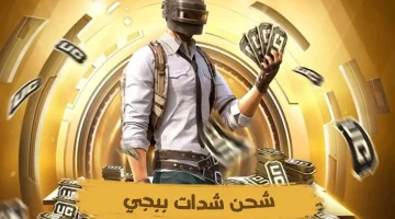 ببجي 1