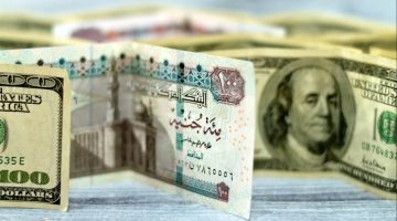 سعر الدولار في مصر