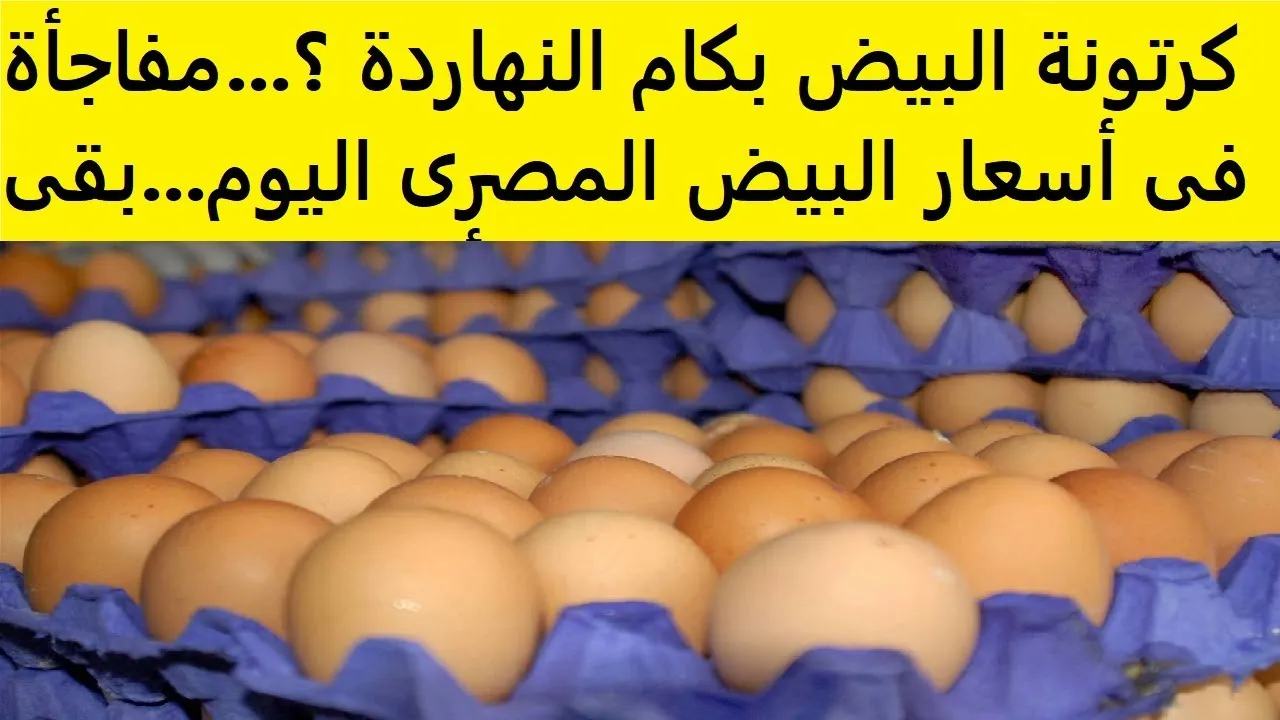 سعر كرتونة البيض اليوم 17/2/2025 وسعر الفراخ اليوم في البورصة 2 سعر كرتونة البيض اليوم 17/2/2025 وسعر الفراخ اليوم في البورصة