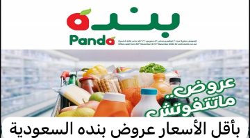 عروض بنده في السعودية