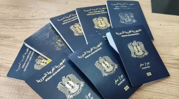منصة انجز السورية