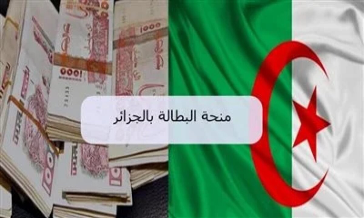 الوكالة الوطنية للتشغيل ... تُذكر أبرز الشروط المطلوبة للتسجيل في منحة البطالة 2025 وآليات التجديد كل 6 أشهر 2 الوكالة الوطنية للتشغيل … تُذكر أبرز الشروط المطلوبة للتسجيل في منحة البطالة 2025 وآليات التجديد كل 6 أشهر
