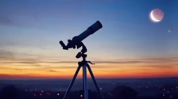 651556165