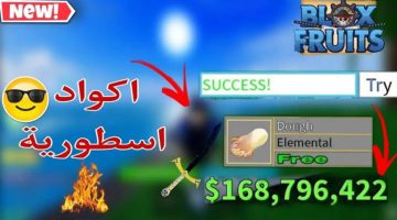 أكواد بلوكس فورت Blox Fruits