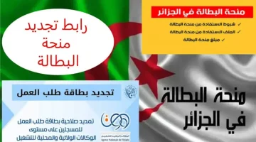 تجديد منحة البطالة الجزائر