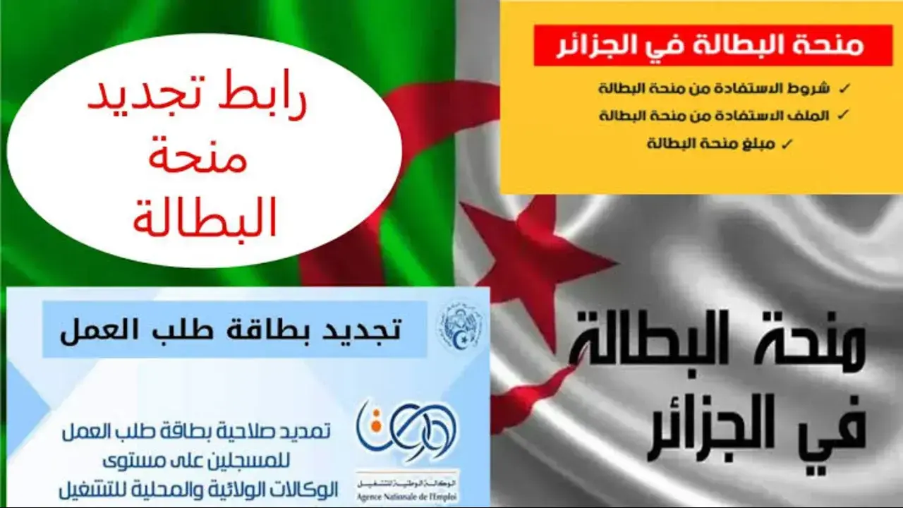 تجديد منحة البطالة الجزائر 2025 عبر الهاتف باستخدام تطبيق "منحتي" 2 تجديد منحة البطالة الجزائر 2025 عبر الهاتف باستخدام تطبيق “منحتي”