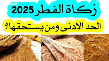 مقدار زكاة الفطر 2025