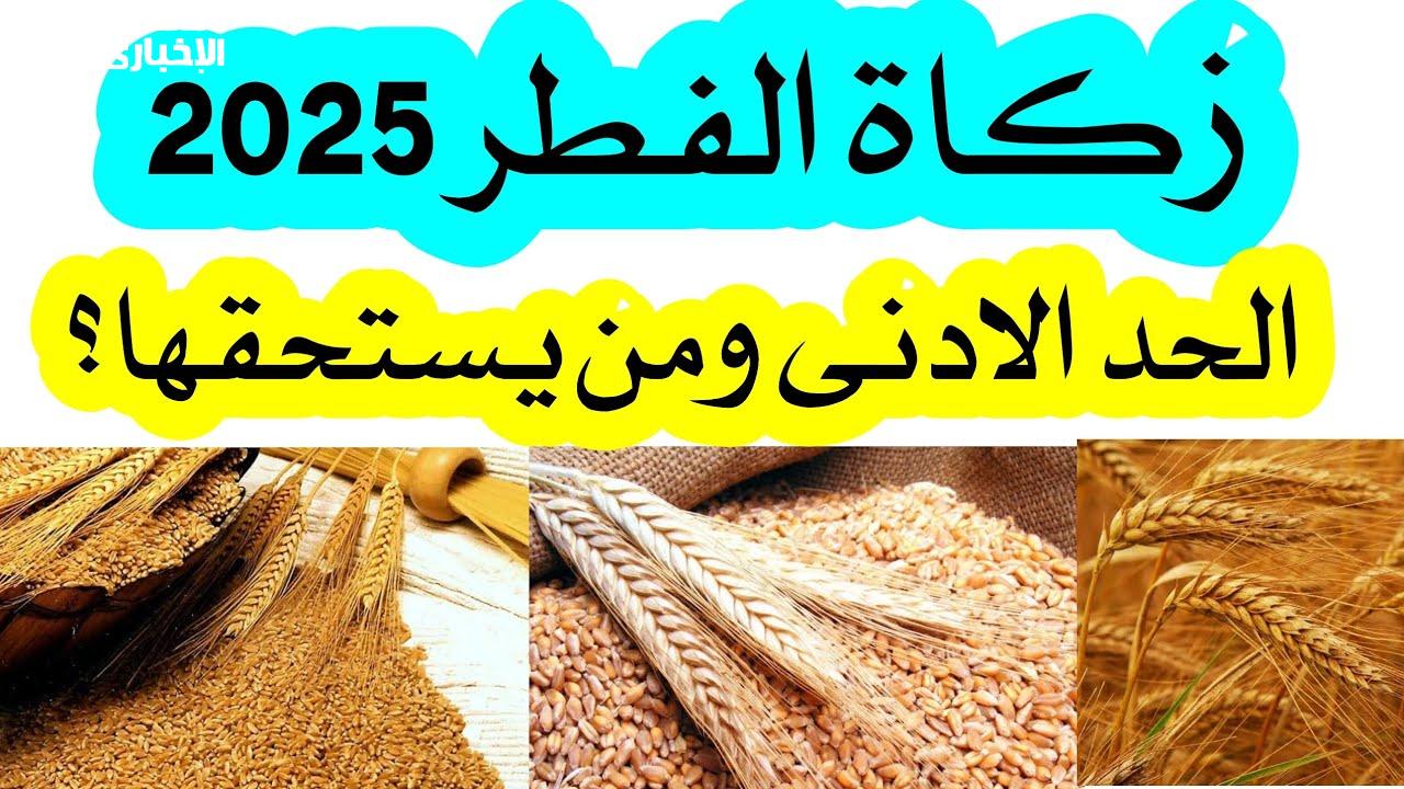 حبوب أم نقود.. مقدار زكاة الفطر 2025 حسب دار الإفتاء وموعد وطريقة إخراجها والفئات المستحقة لها 2 حبوب أم نقود.. مقدار زكاة الفطر 2025 حسب دار الإفتاء وموعد وطريقة إخراجها والفئات المستحقة لها