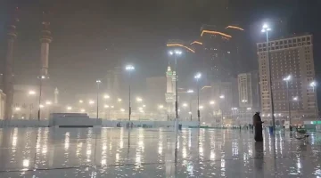image1736615487