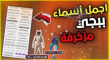 أسماء ببجي مزخرفة 2025