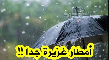 أمطار رعدية غزيرة في عدة ولايات من الجزائر