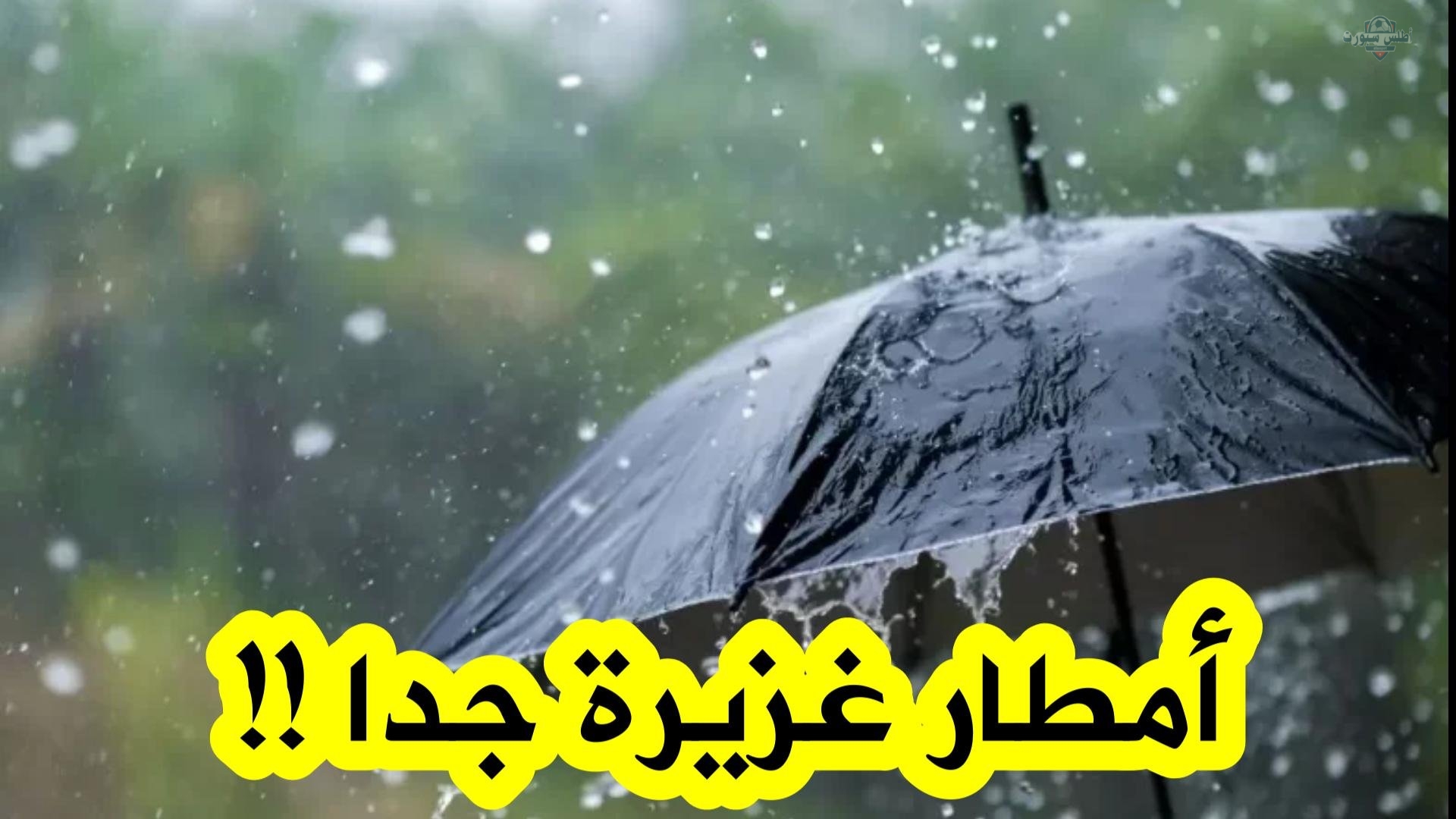 الديوان الوطني للأرصاد الجوية يحذر من أمطار رعدية غزيرة في عدة ولايات من الجزائر 2 الديوان الوطني للأرصاد الجوية يحذر من أمطار رعدية غزيرة في عدة ولايات من الجزائر
