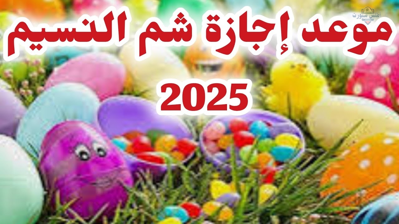 عيد الربيع.. موعد إجازة شم النسيم 2025 في مصر وأهم مظاهر الاحتفال وجدول الإجازات الرسمية المتبقية 2 عيد الربيع.. موعد إجازة شم النسيم 2025 في مصر وأهم مظاهر الاحتفال وجدول الإجازات الرسمية المتبقية
