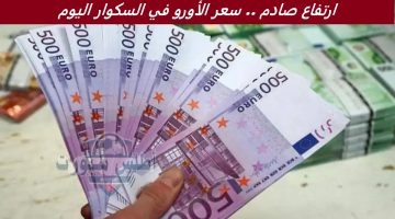 ارتفاع صادم . سعر الأورو في السكوار اليوم