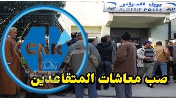 الاستعلام عن معاشات المتقاعدين في الجزائر لشهر مايو 2025