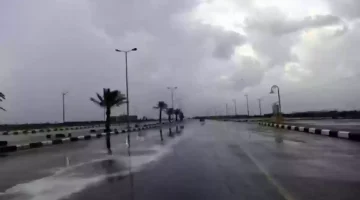 التوقعات الجوية أمطار خفيفة وأتربة في سماء الرياض