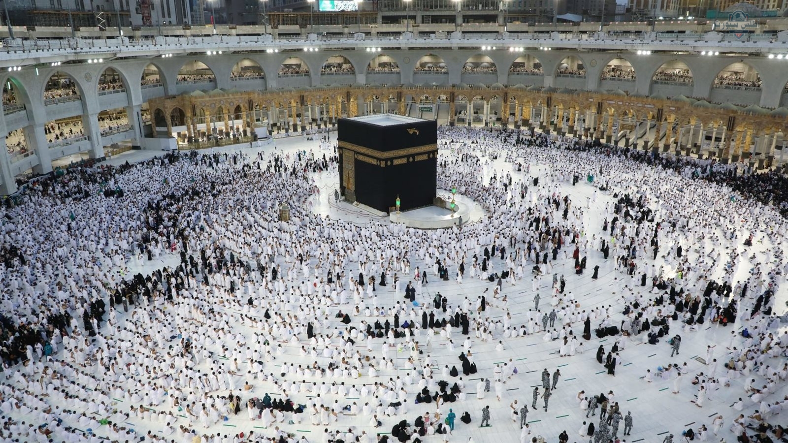 السعودية تعاقب شركات الحج بتغريمها 100 ألف ريال بسبب التأخير في الإبلاغ عن المخالفات 2 السعودية تعاقب شركات الحج بتغريمها 100 ألف ريال بسبب التأخير في الإبلاغ عن المخالفات
