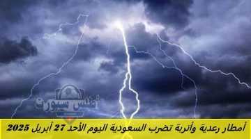 المركز الوطني للأرصاد أمطار رعدية وأتربة تضرب السعودية اليوم الأحد 27 أبريل 2025