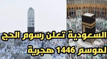 باقات موسم الحج 1446.png