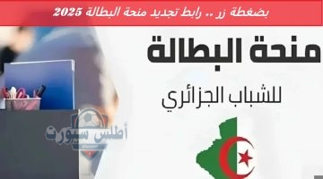 بضغطة زر . رابط تجديد منحة البطالة 2025